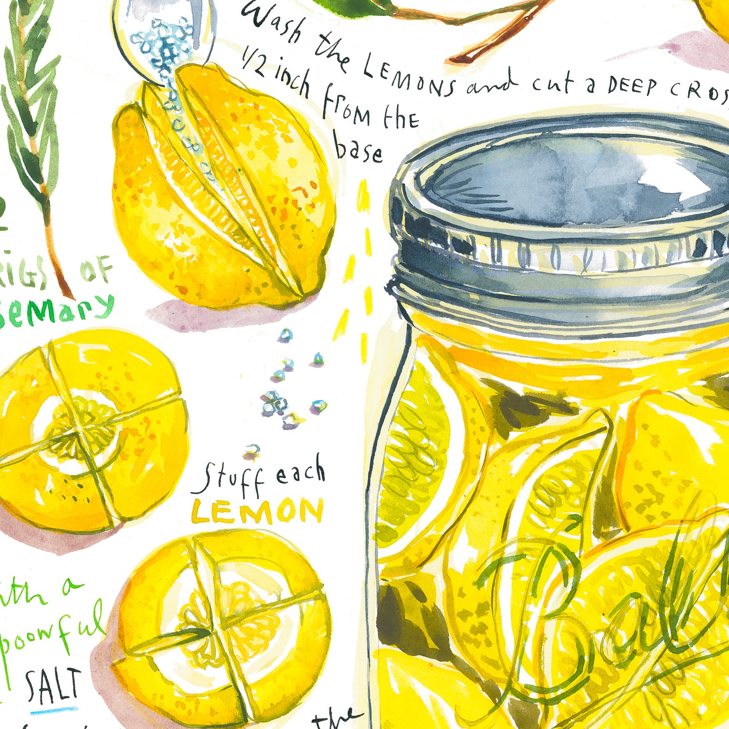 Preserved Lemon recipe