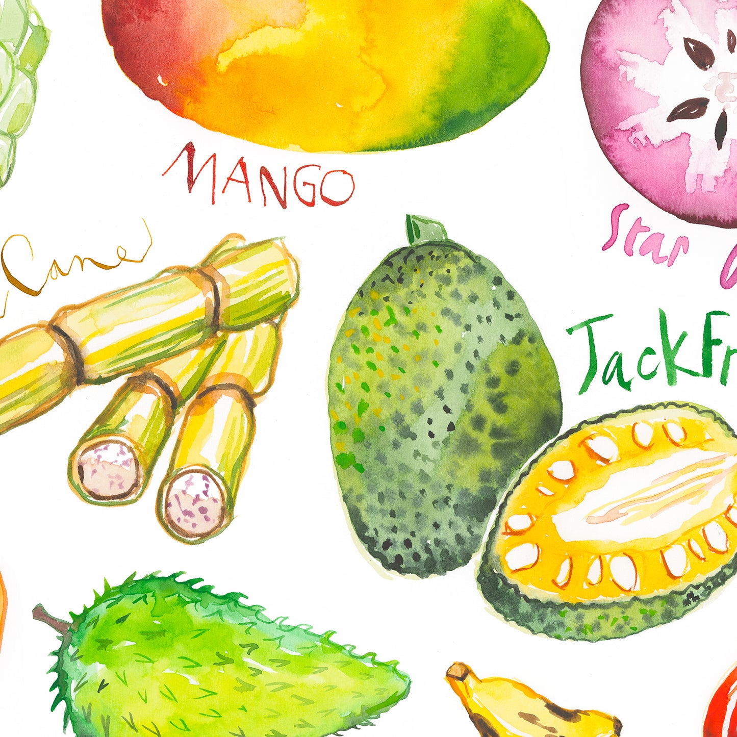 Les Fruits en Jamaïque