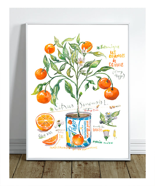 Orange Tree