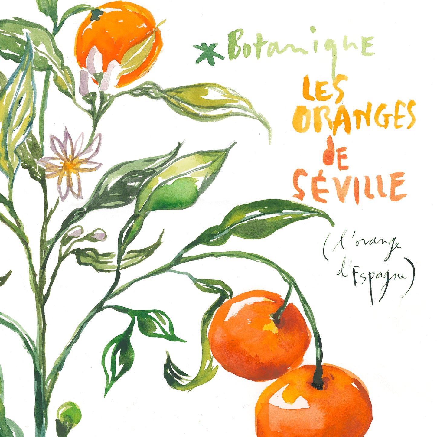 Orange Tree