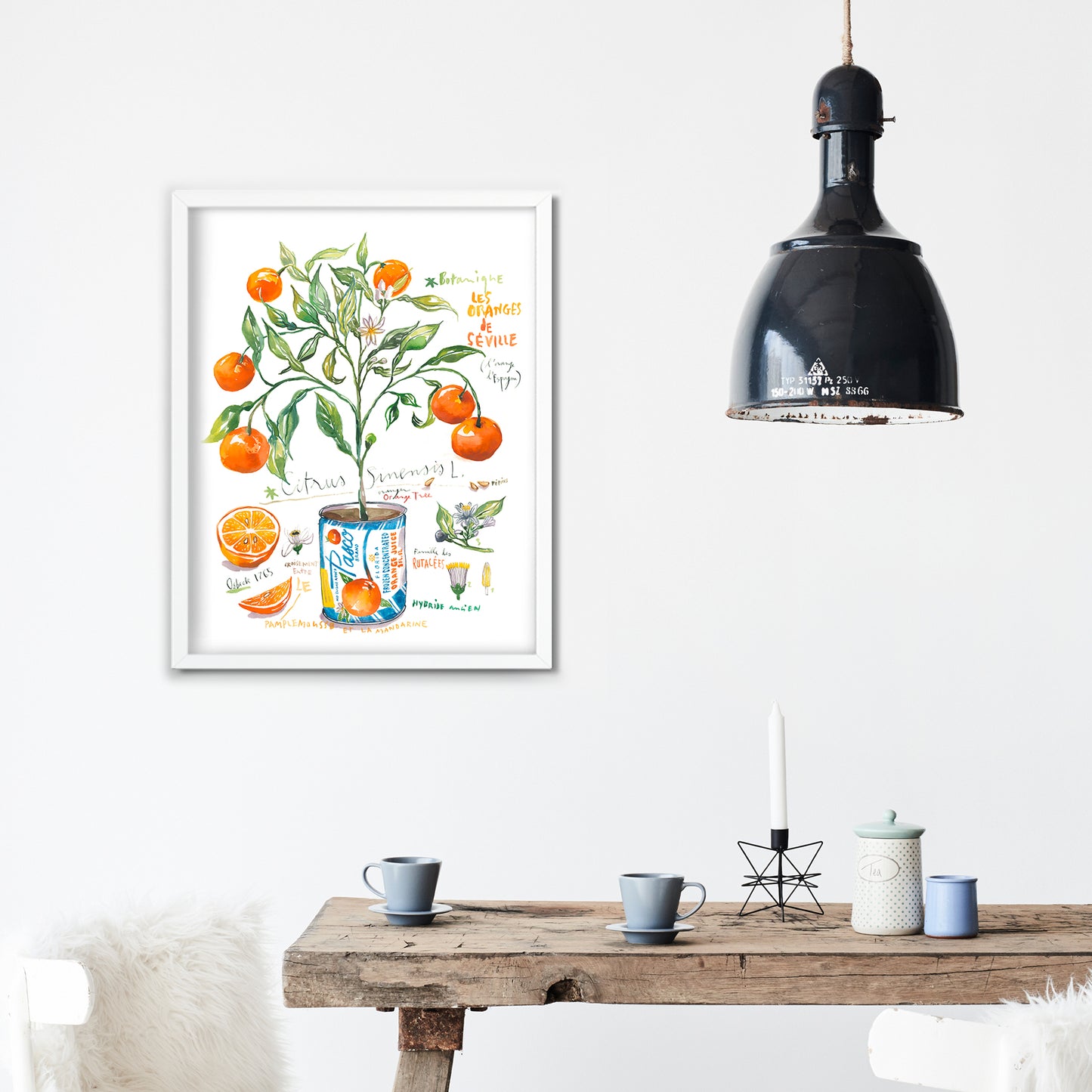 Orange Tree