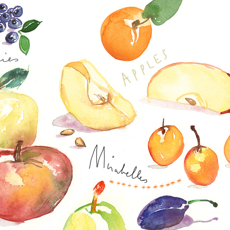 Summer fruits - In English
