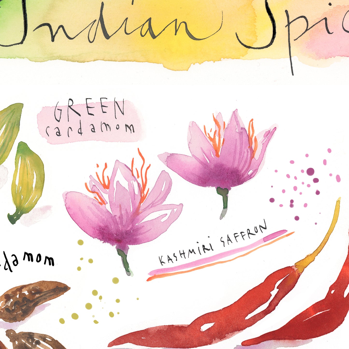 Indian Spices