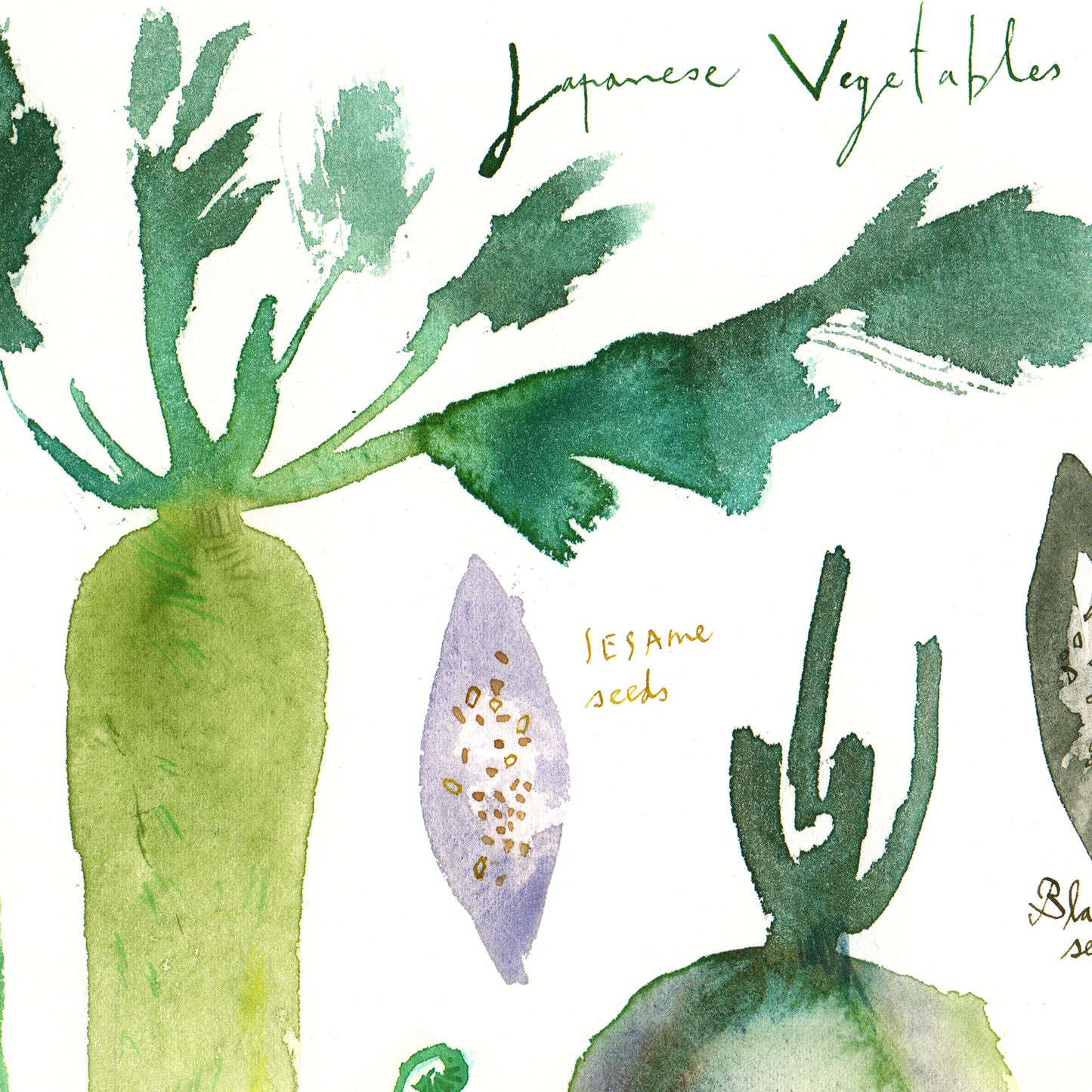Japanese Vegetables