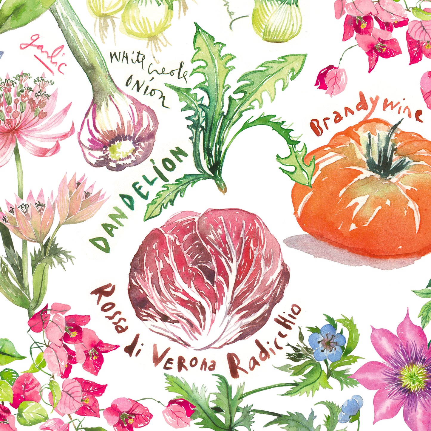 Spring flowers and vegetables