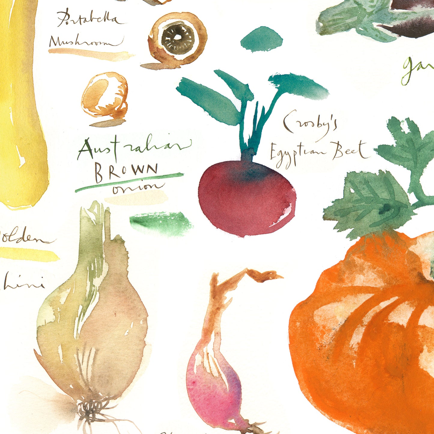Fall/Autumn vegetables