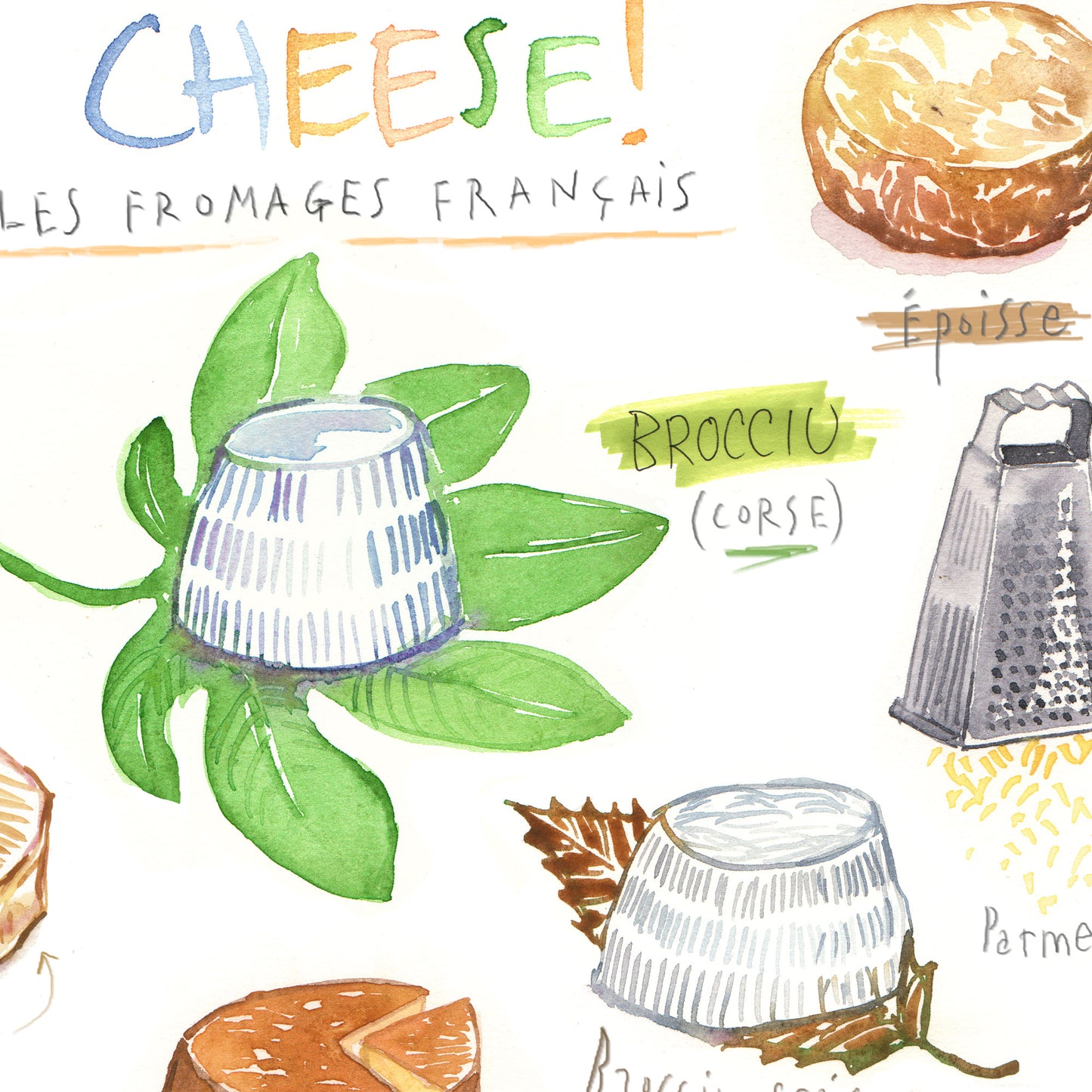 French cheese #2 - Les fromages français