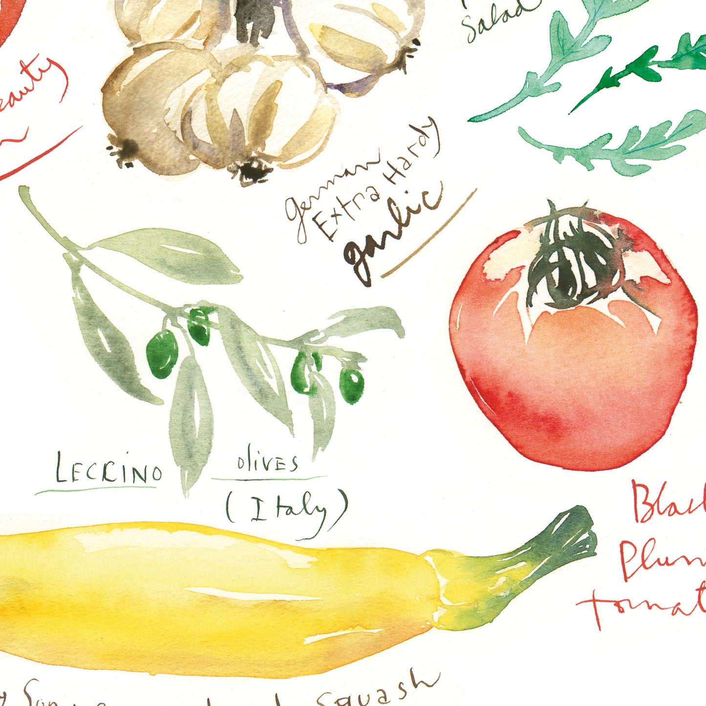 Summer vegetables
