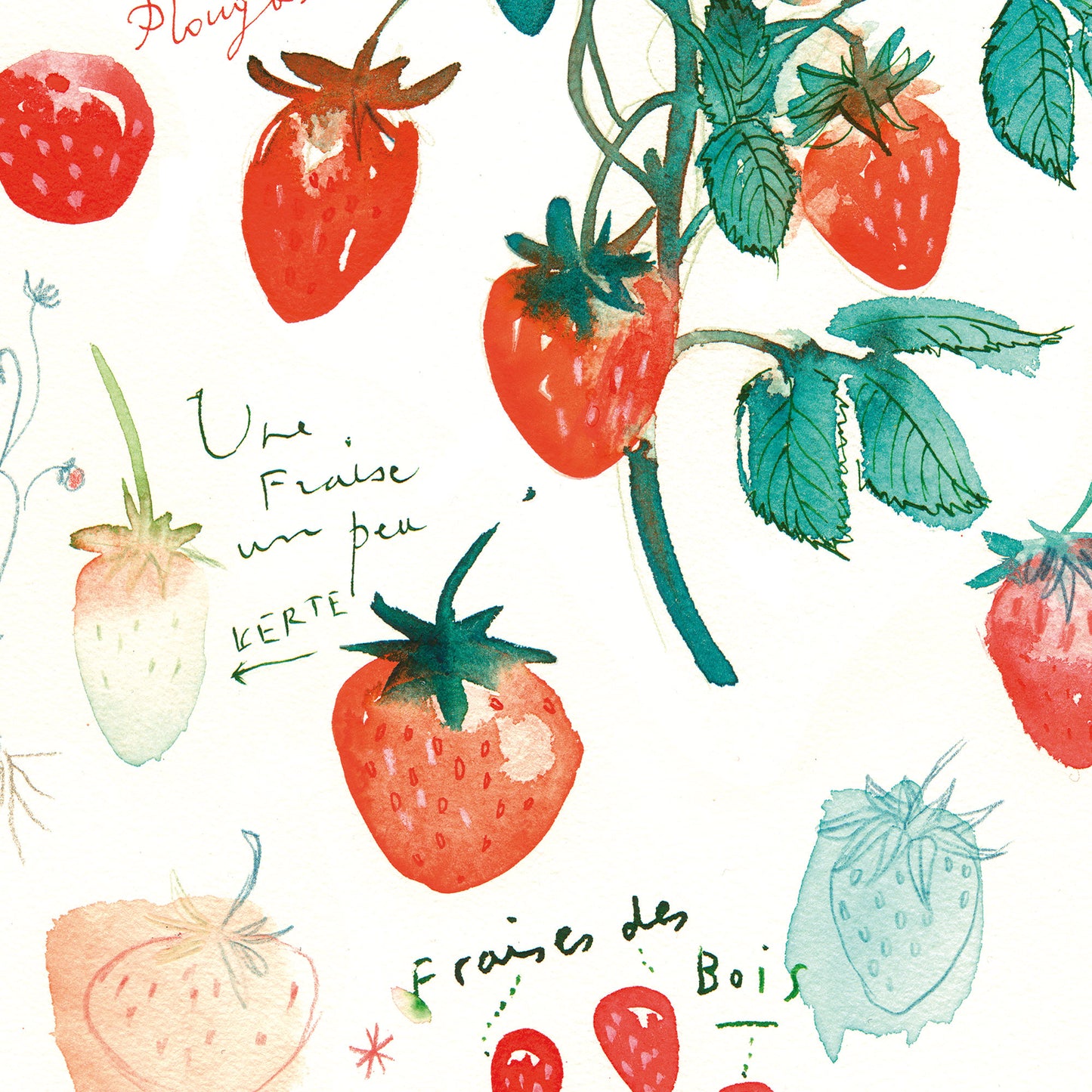 Strawberries