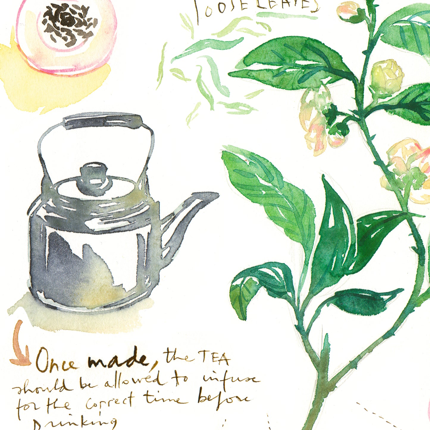 The perfect cup of tea