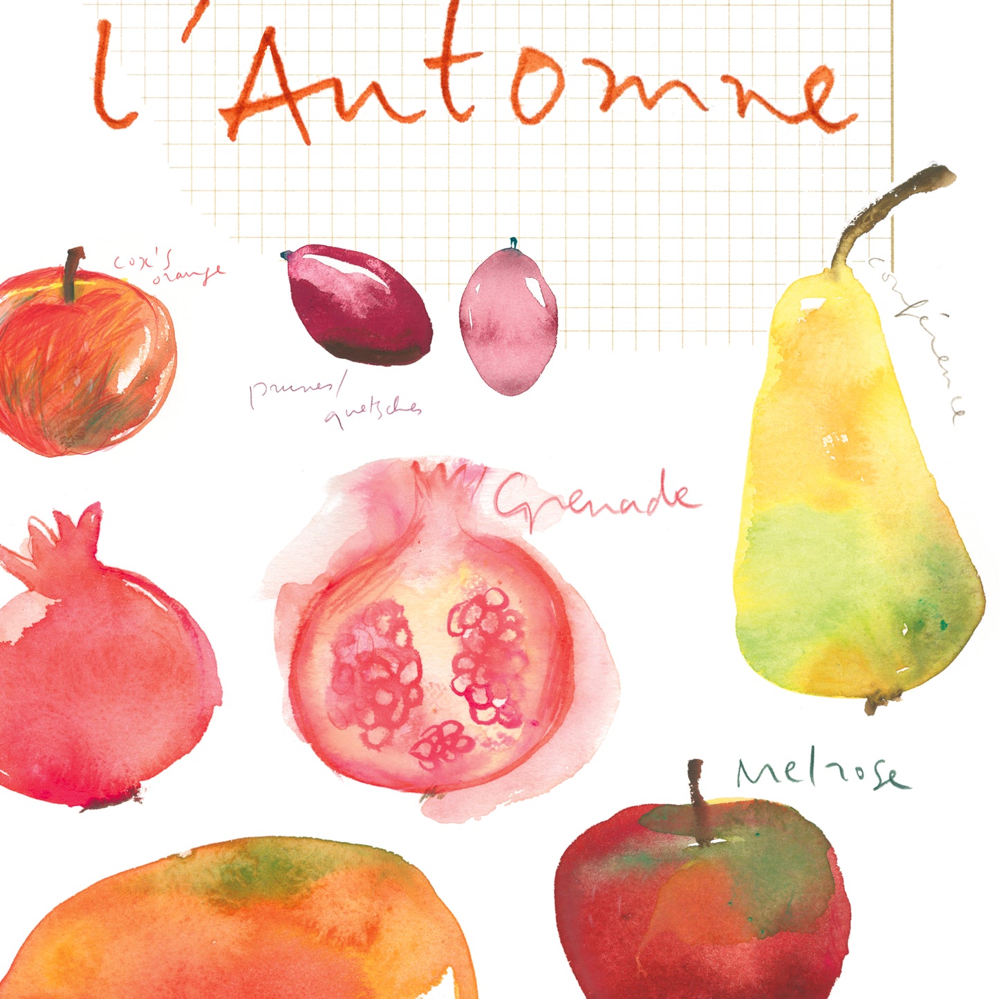 Seasonal fruit print set - In French