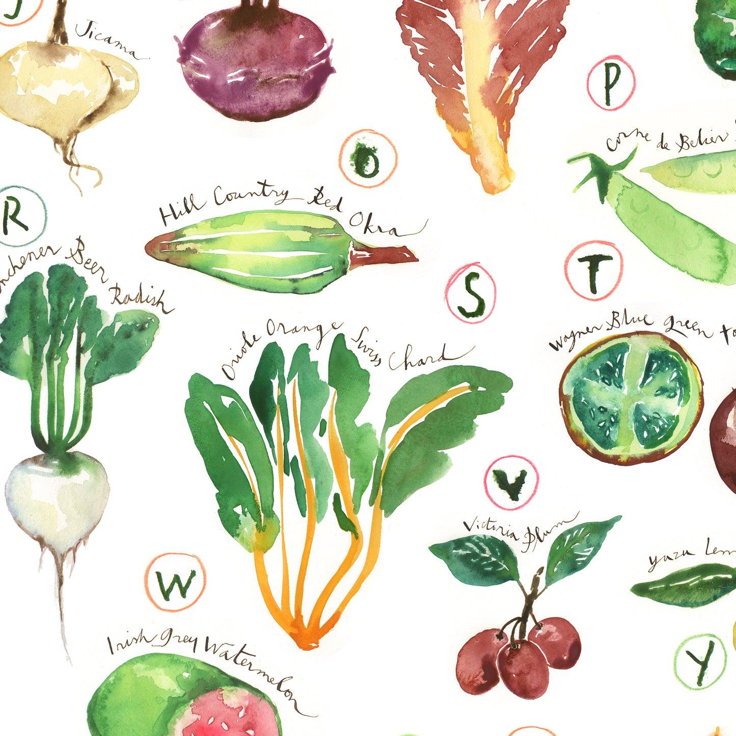 ABC Heirloom vegetable alphabet poster
