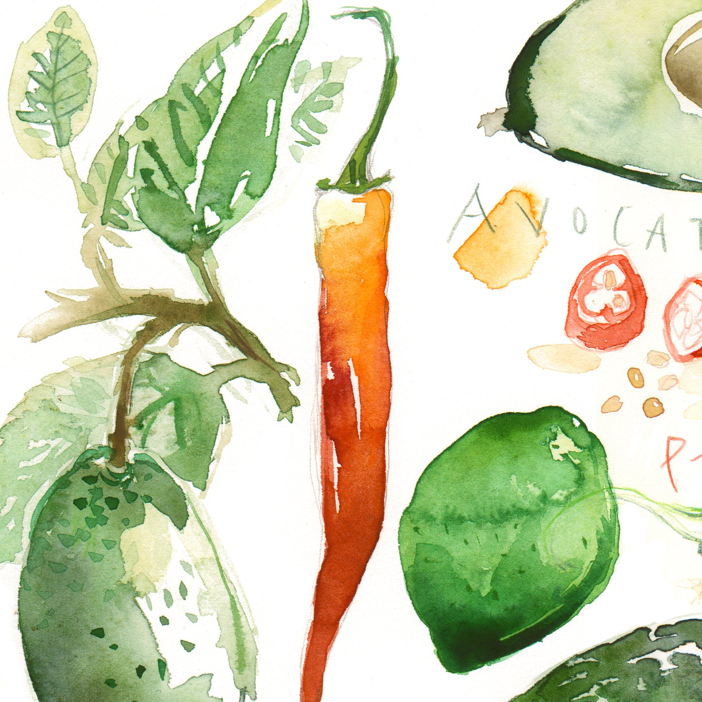 Guacamole ingredients