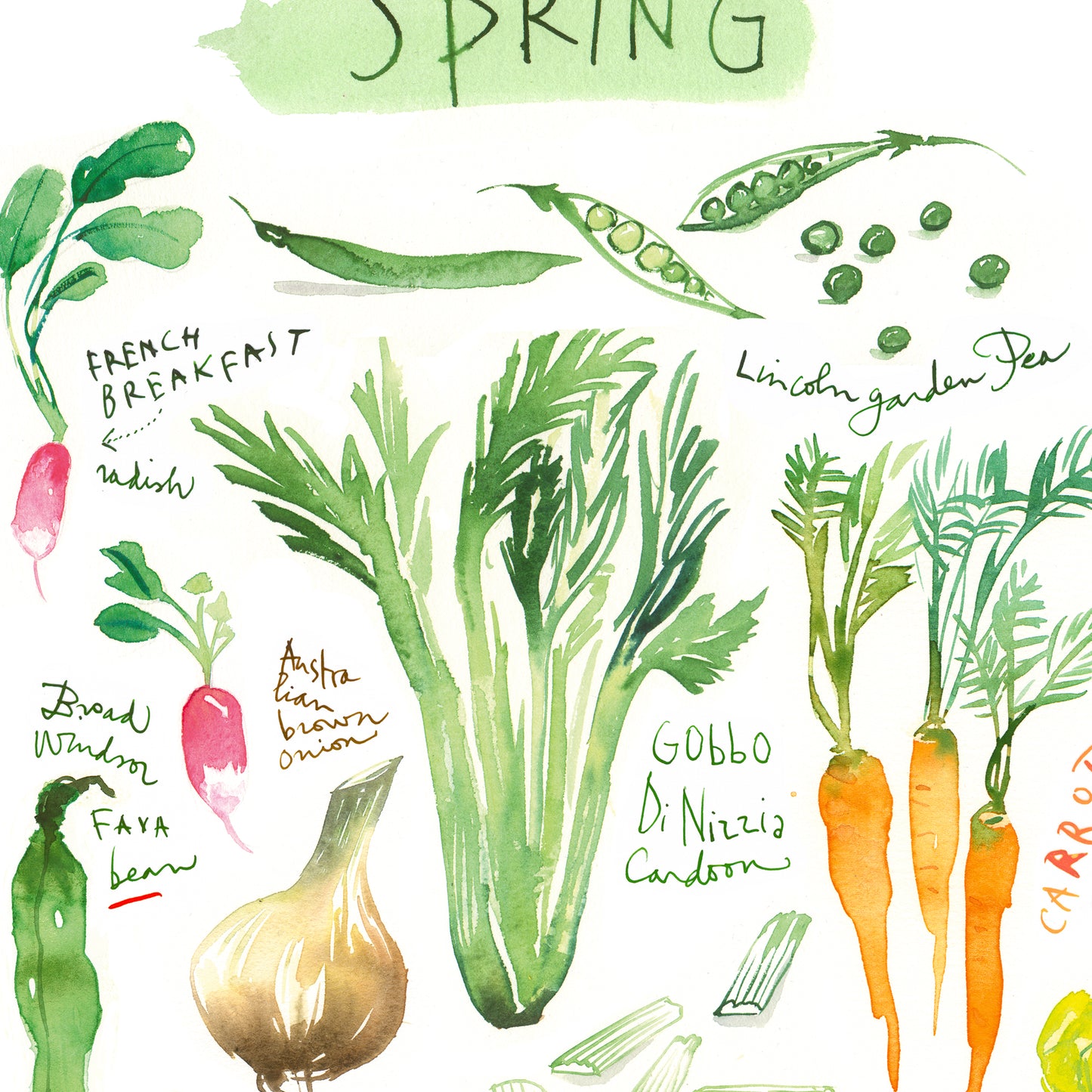 Spring vegetables
