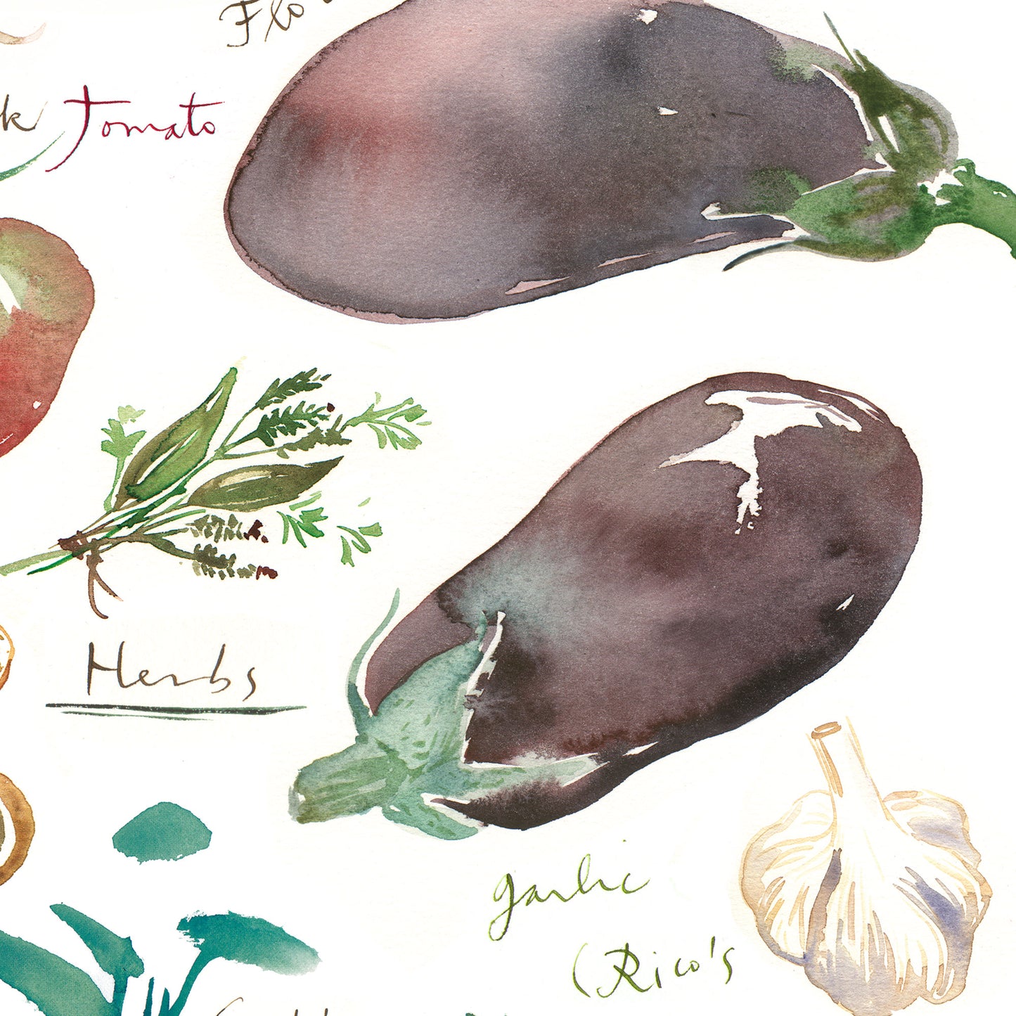 Fall/Autumn vegetables