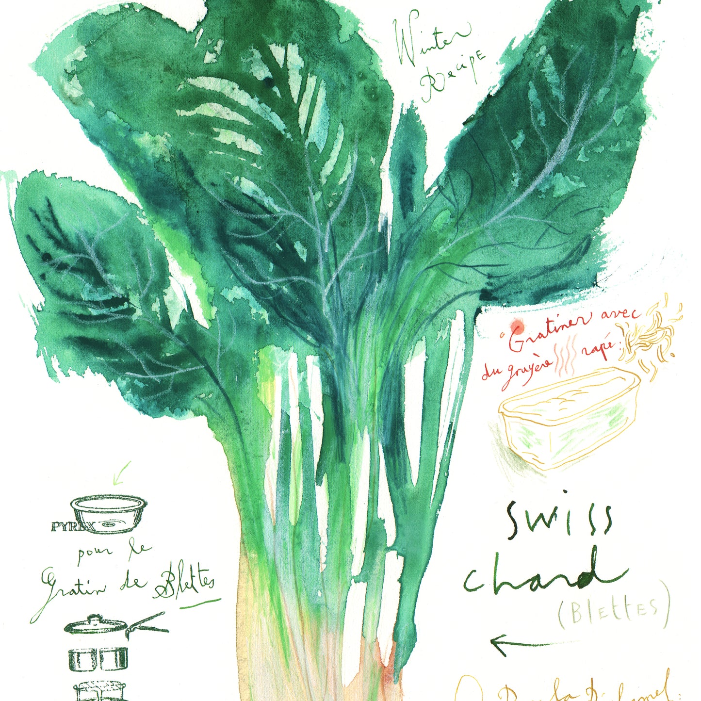 Swiss chard gratin recipe print