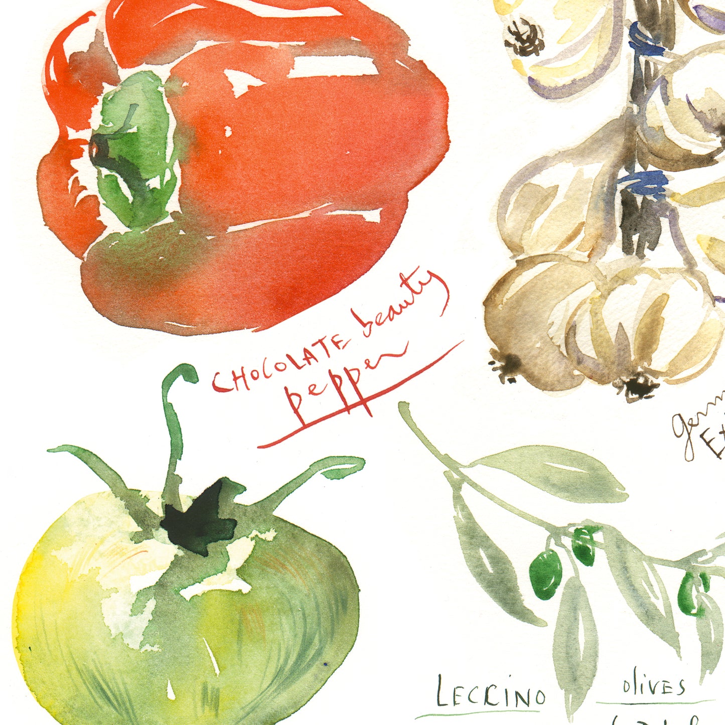 Summer vegetables
