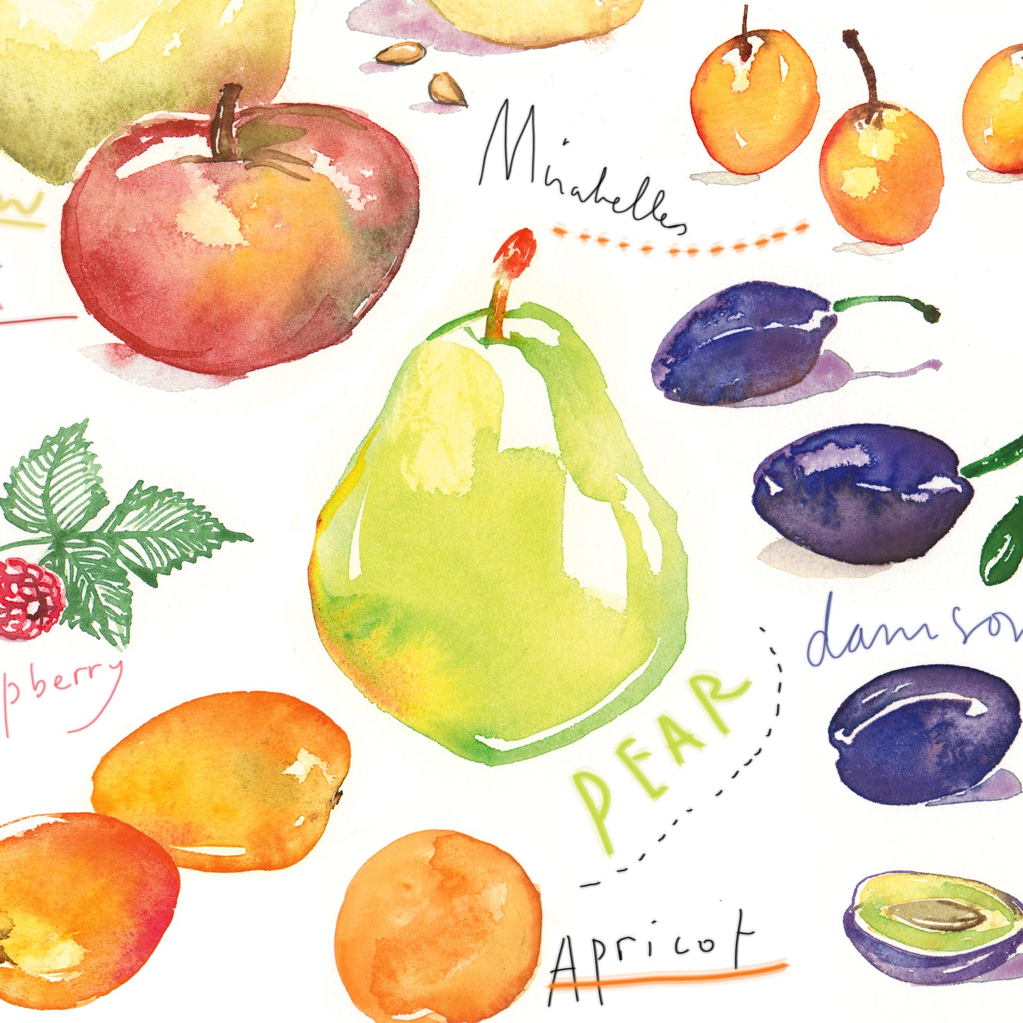 Summer fruits - In English