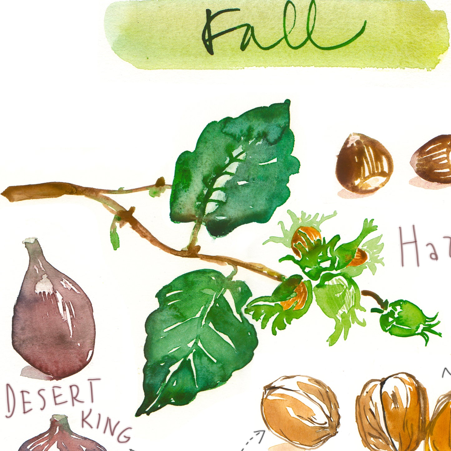 Fall fruits - In English