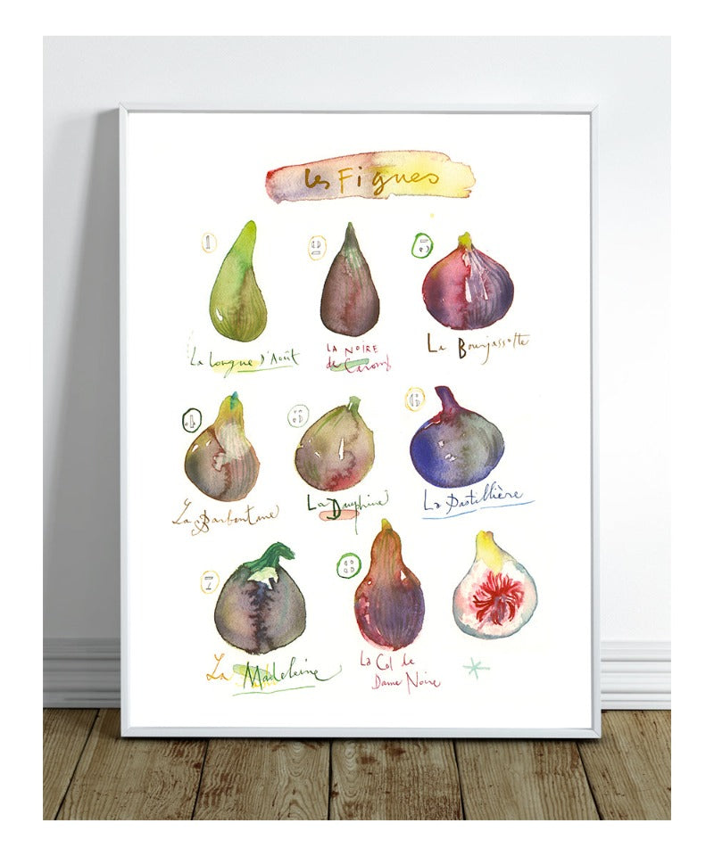 Fig varieties watercolor illustration poster, Fruit wall art