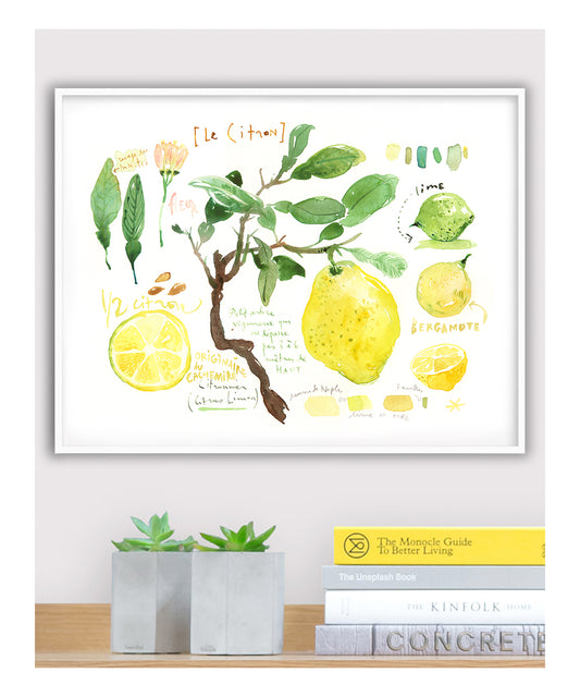 Horizontal Lemon tree poster