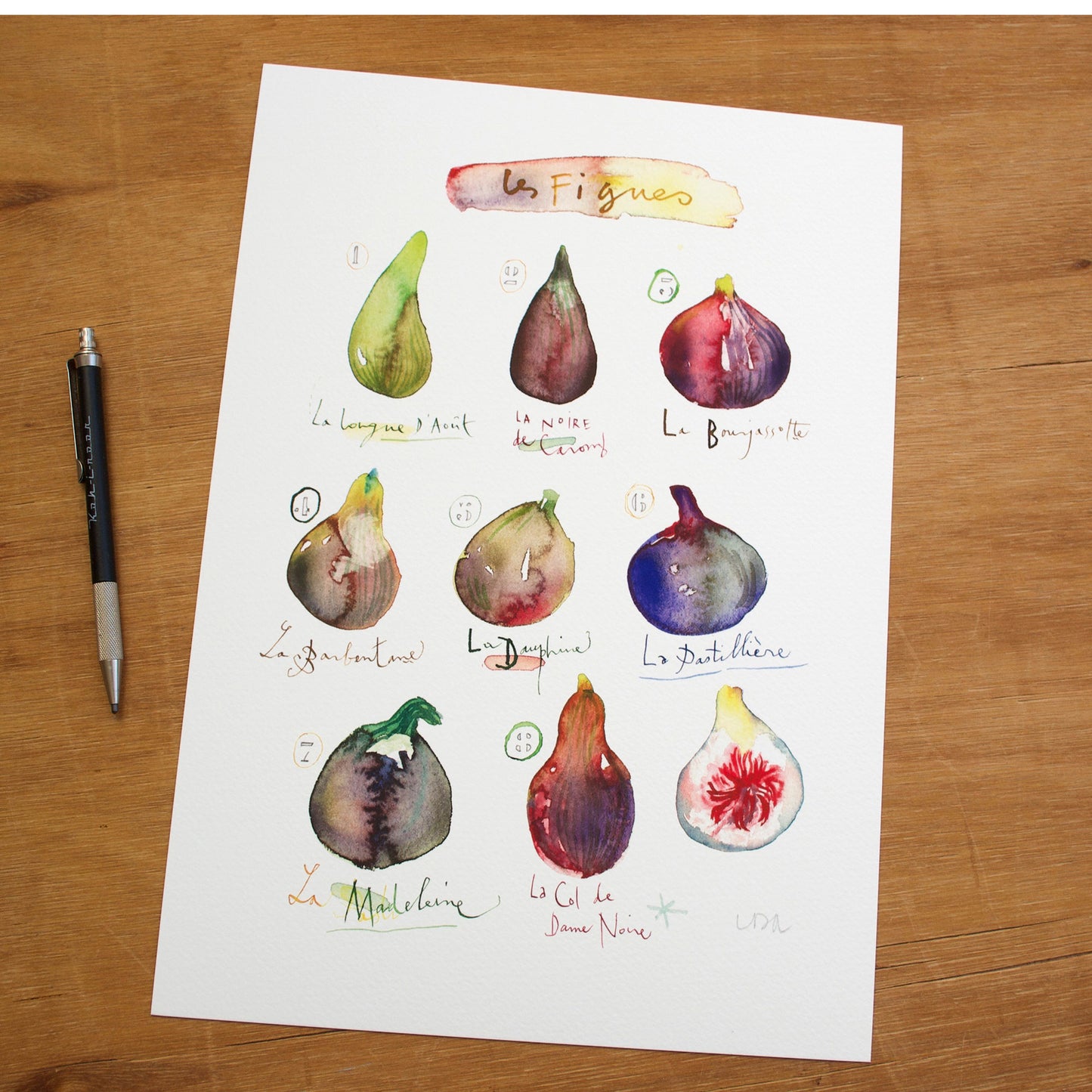 Fig varieties