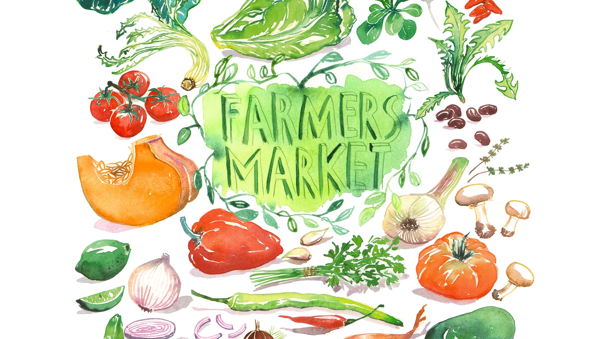 tomatoes growing illustrated in watercolor