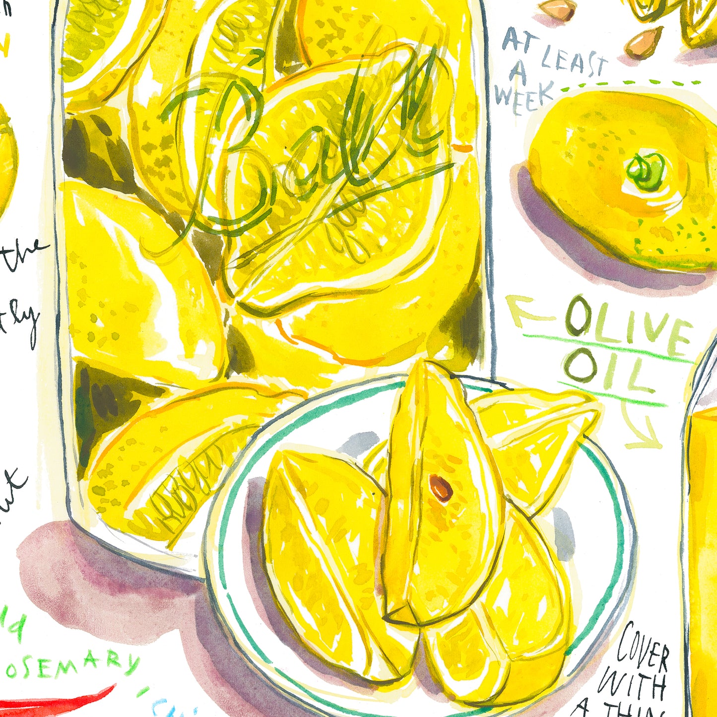 Preserved Lemon recipe