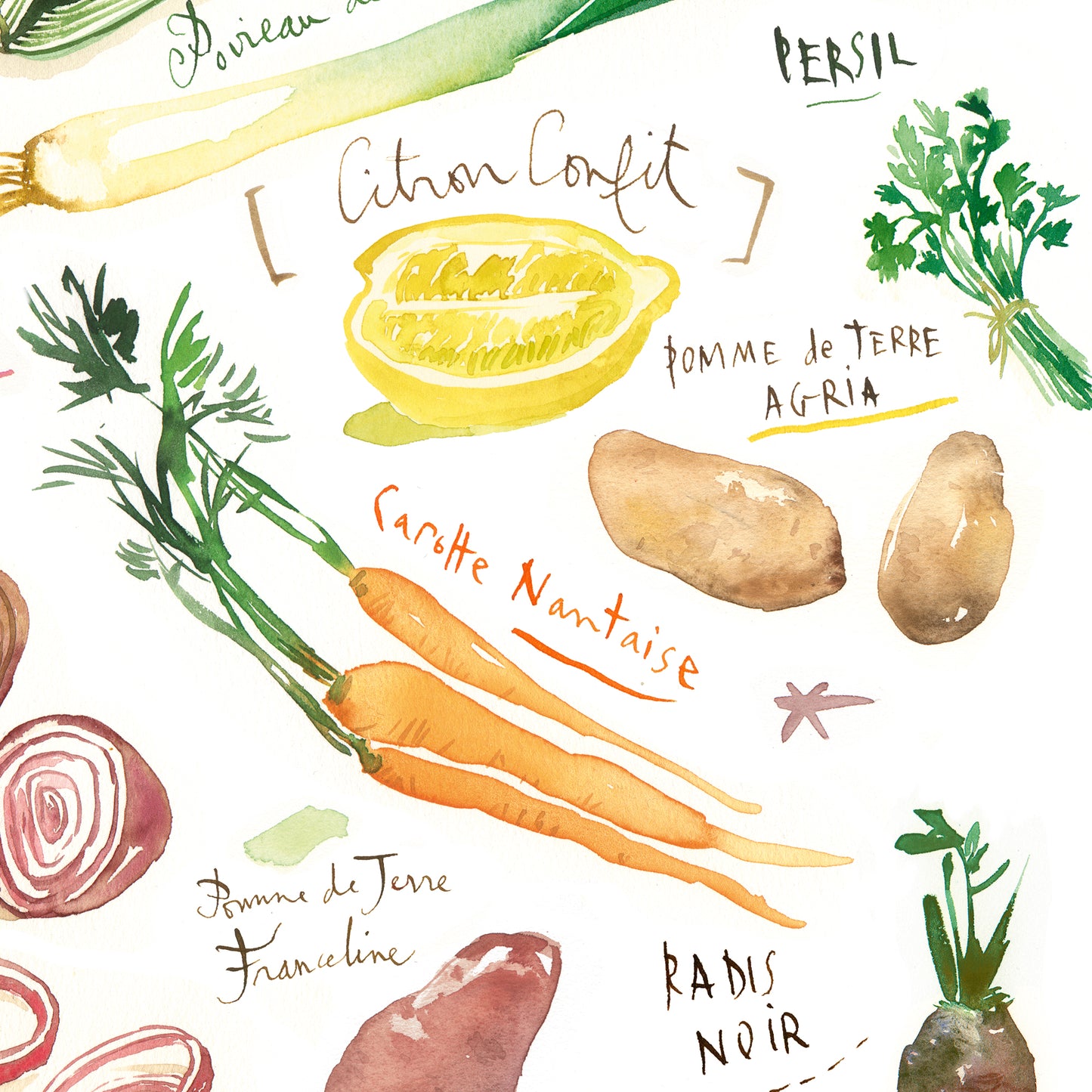 Seasonal vegetable print set in French