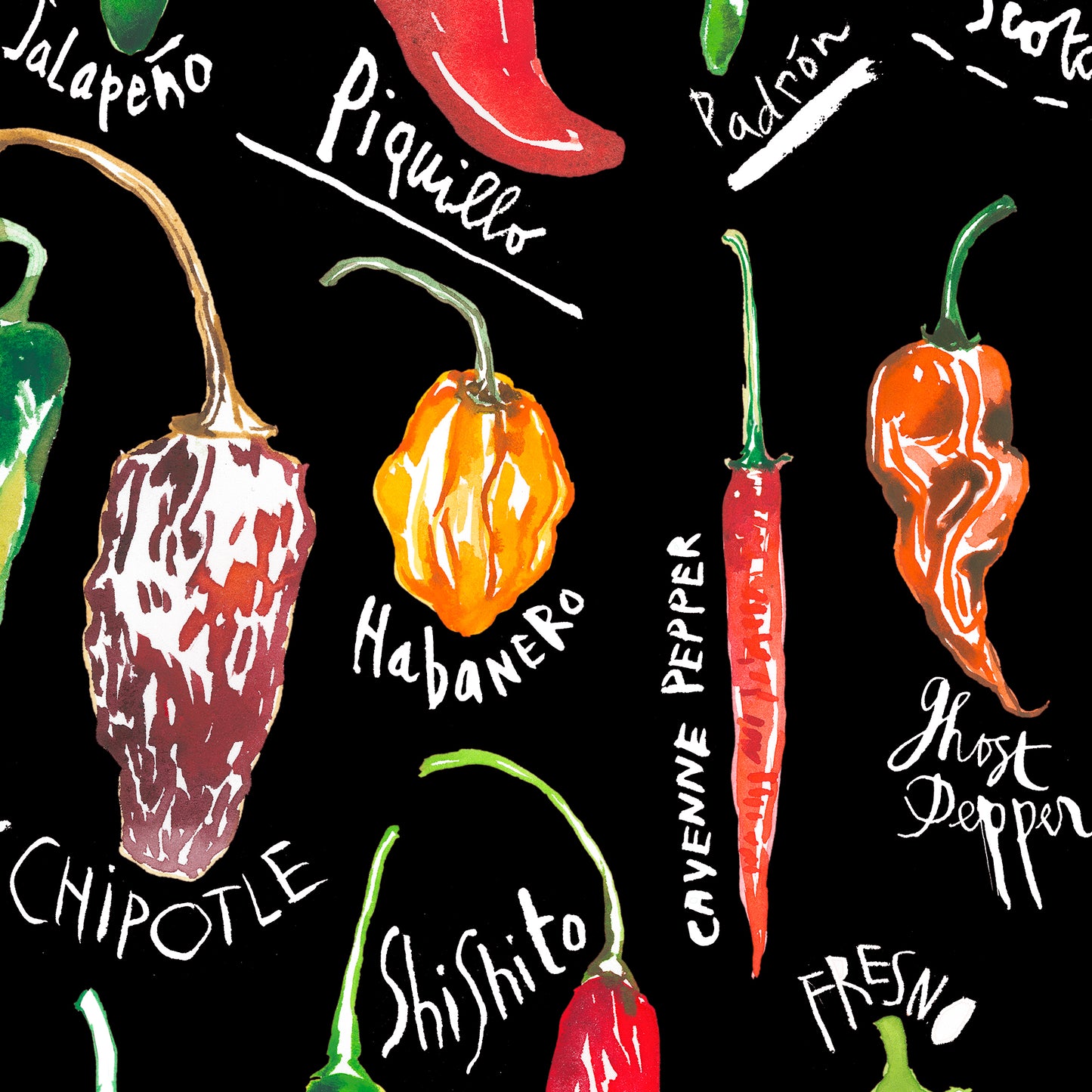 Types of Hot Peppers - With black background