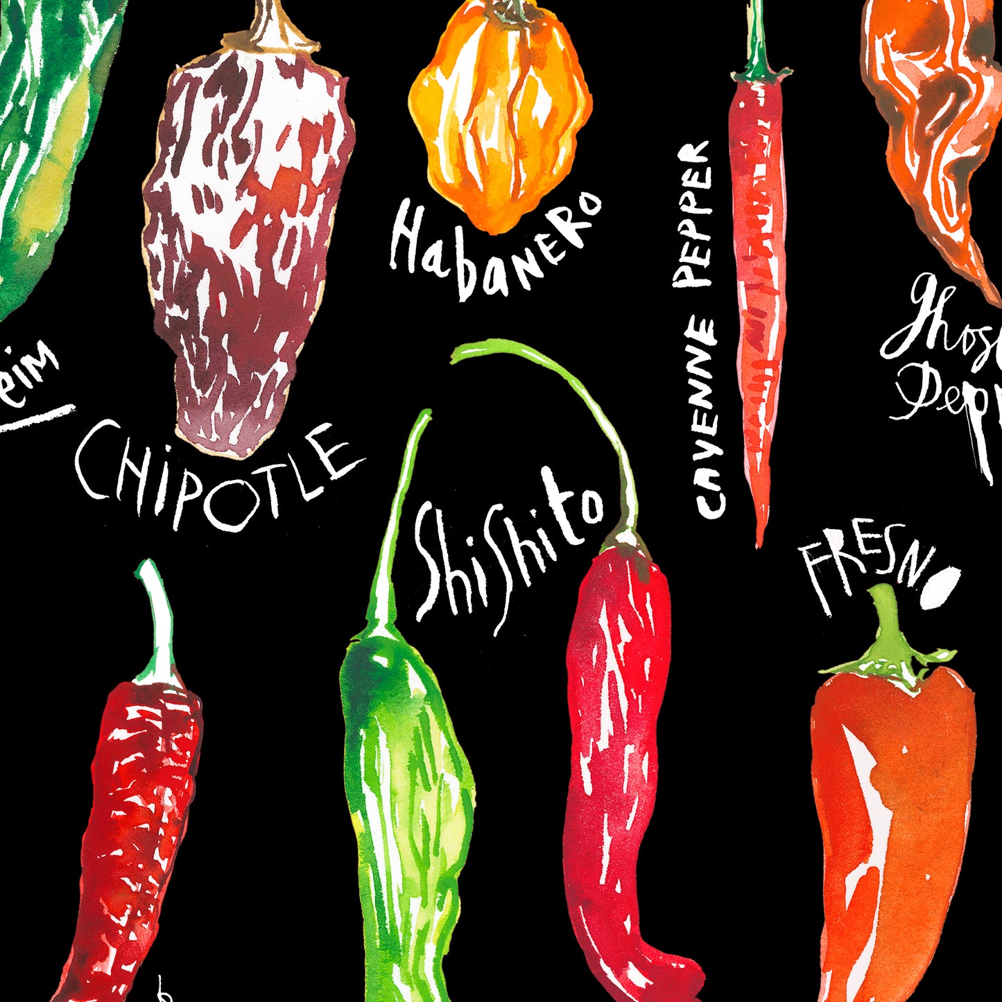 Types of Hot Peppers - With black background