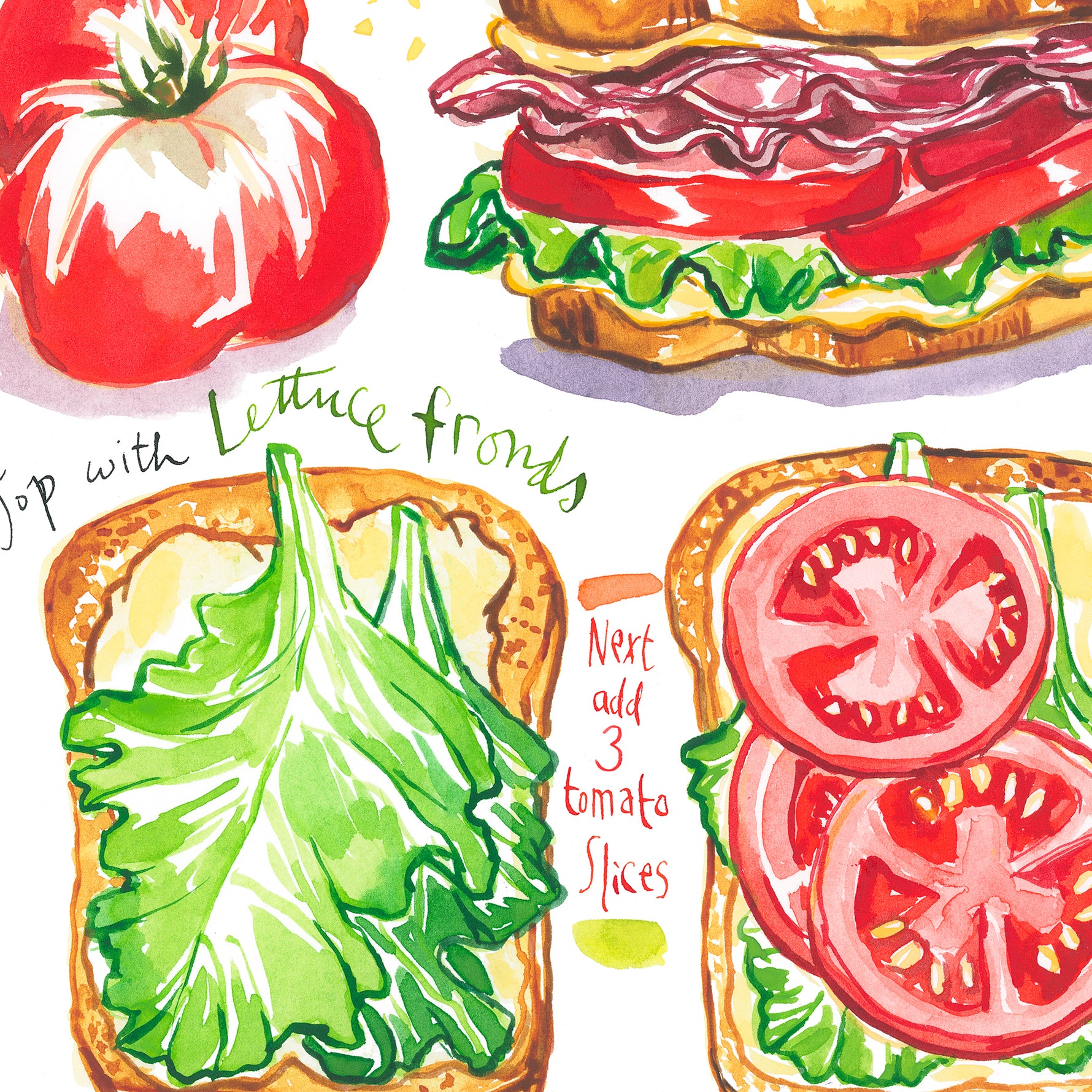 close-up image of BLT sandwich recipe fine art print in watercolor featuring the ingredients and the finished sandwich, along with step by step illustrations and handwritten instructions in English.