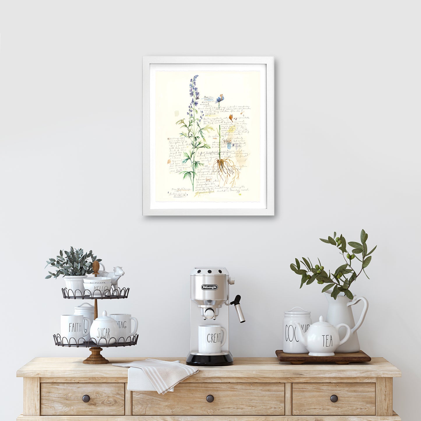 Aconite - Plants and medicinal herb series #2