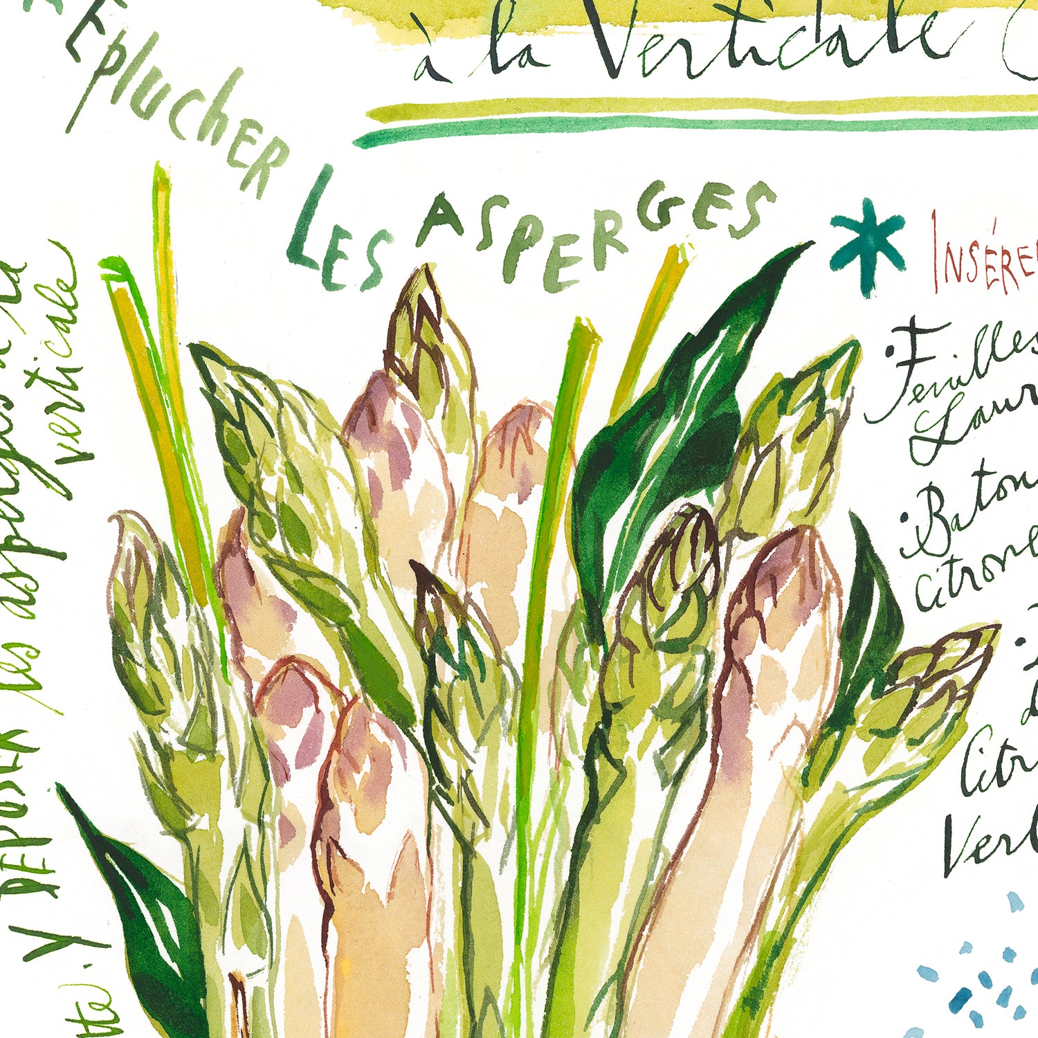 Asparagus - Les Asperges à La Verticale