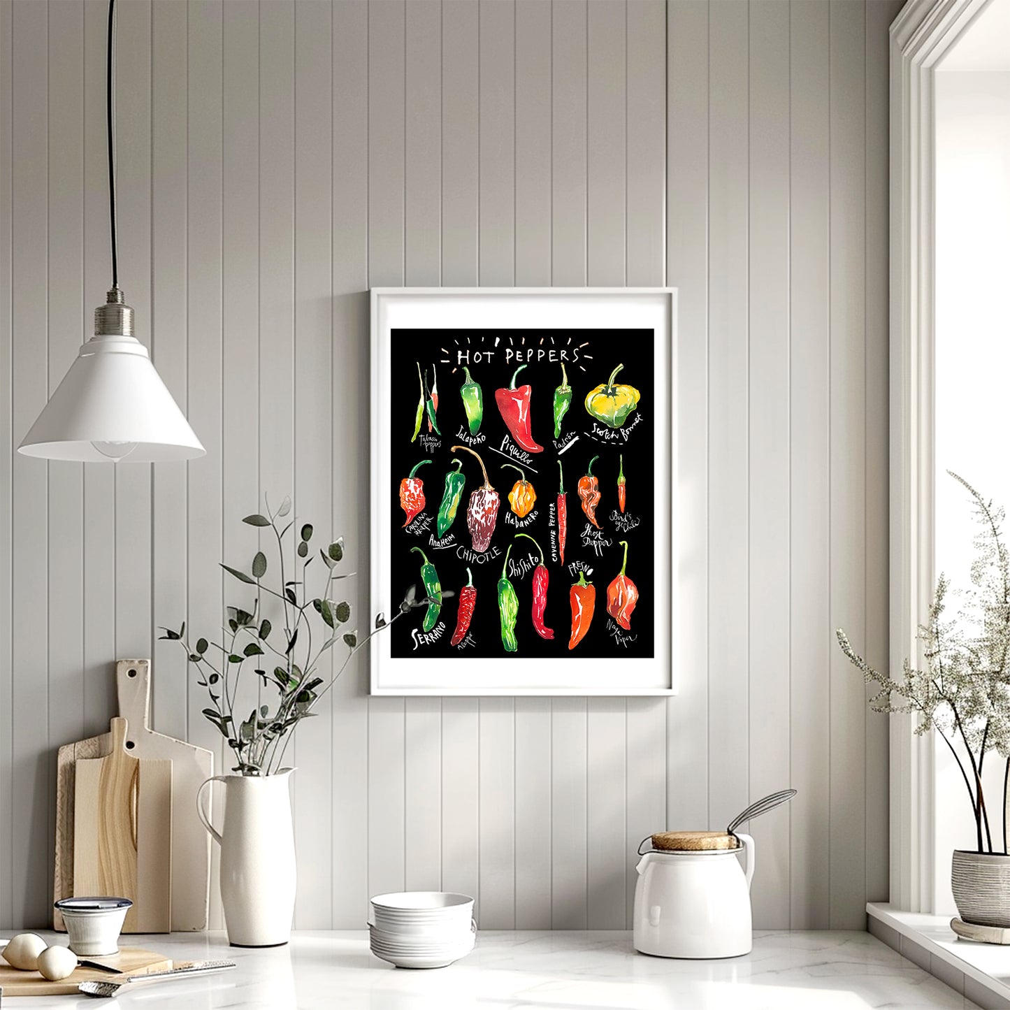 Types of Hot Peppers - With black background