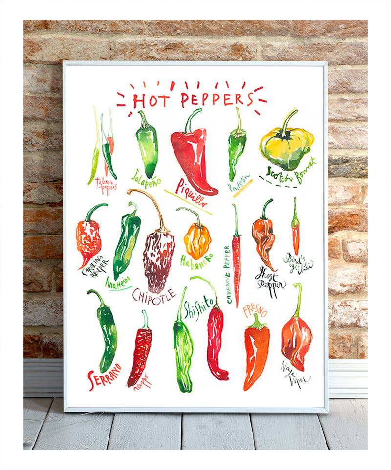 Types of Hot Peppers - With white background