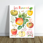 watercolor apples varieties art print framed in a home space