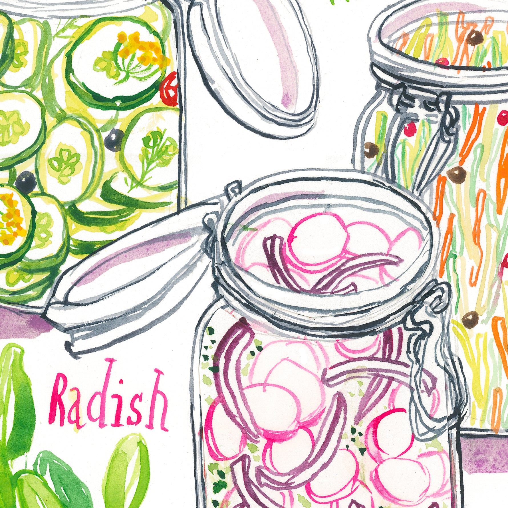 close-up image of pickled vegetables recipe fine art print in watercolor featuring the ingredients and three jars of mixed veggies, along with handwritten instructions in English.