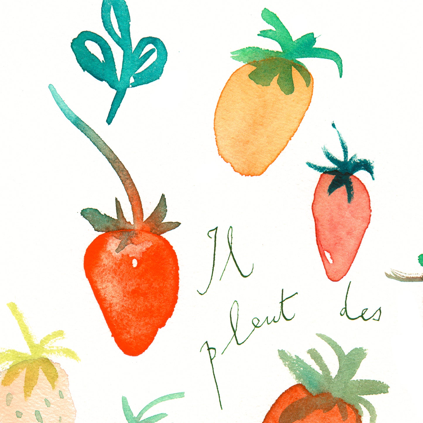 Il pleut des Fraises ( It is raining Strawberries )