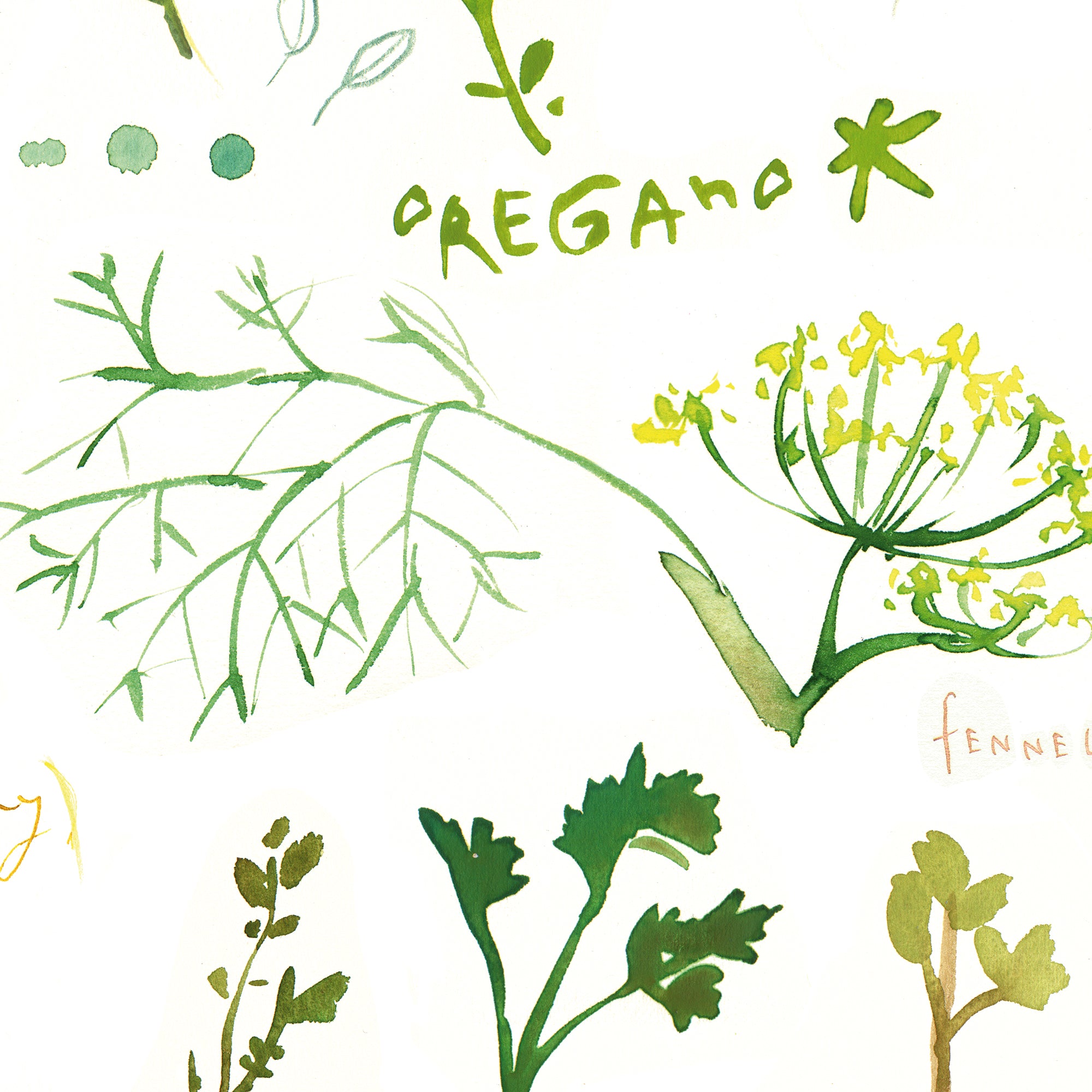 Herbs, spices, plants collection, illustration, drawing, engraving, ink,  line art, vector #Sponsored , #AFFILIATE,… | Plant sketches, Plant drawing,  Flower sketches