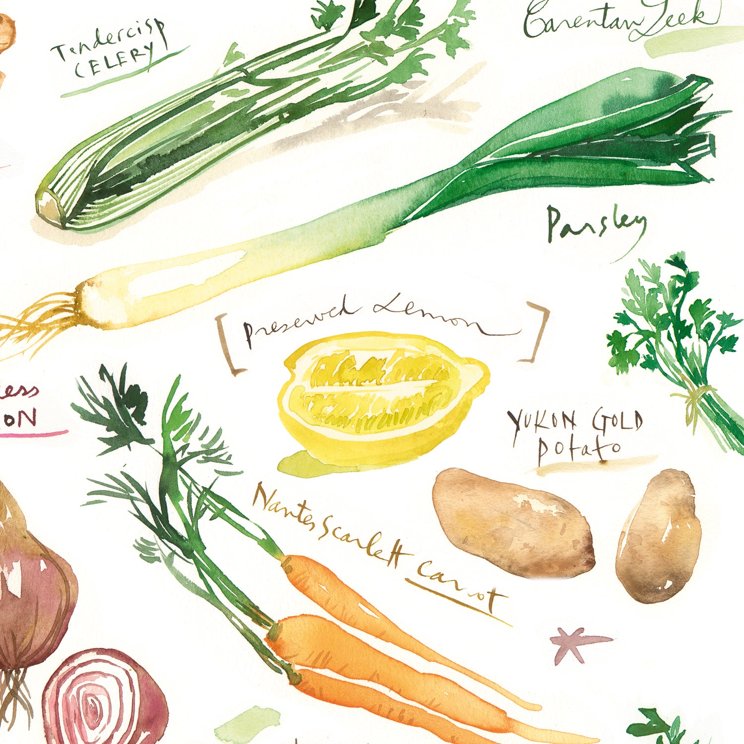 Winter vegetables