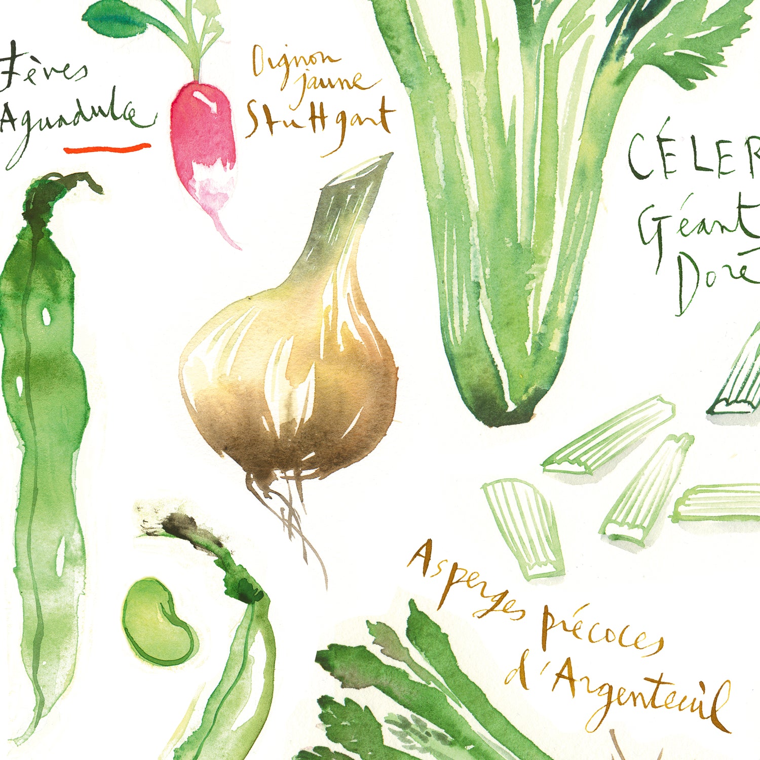 Spring vegetables