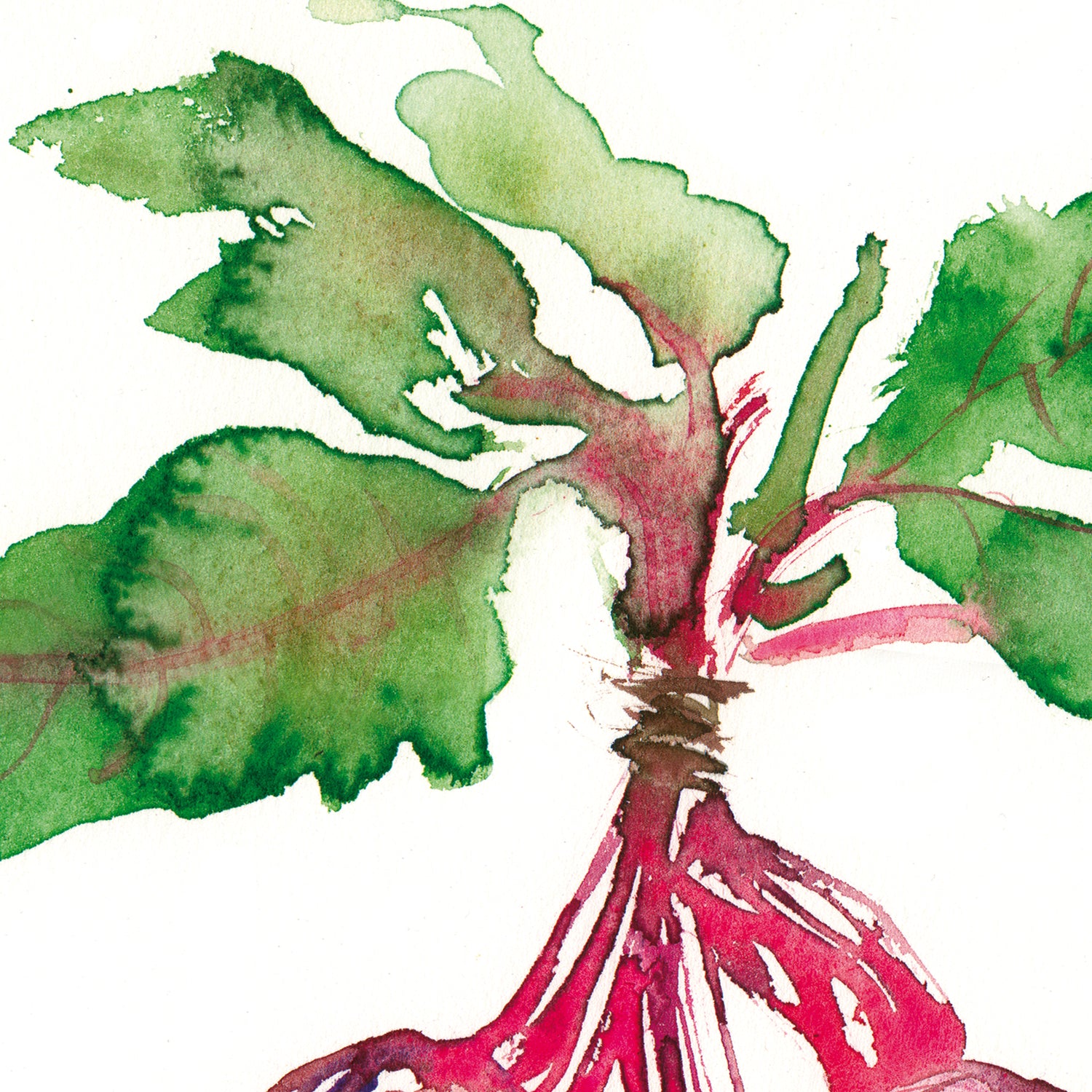 Beets