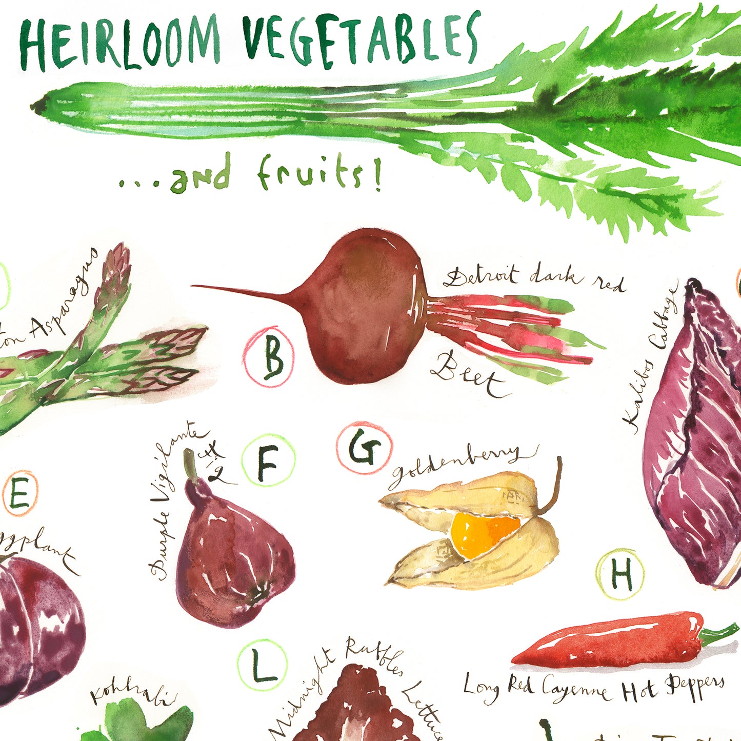 ABC Heirloom vegetable alphabet poster