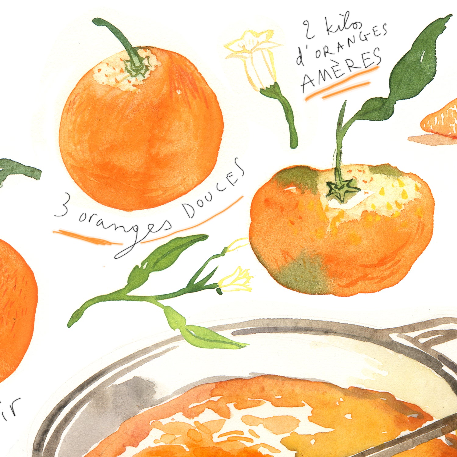 La recette de la Confiture d'Orange