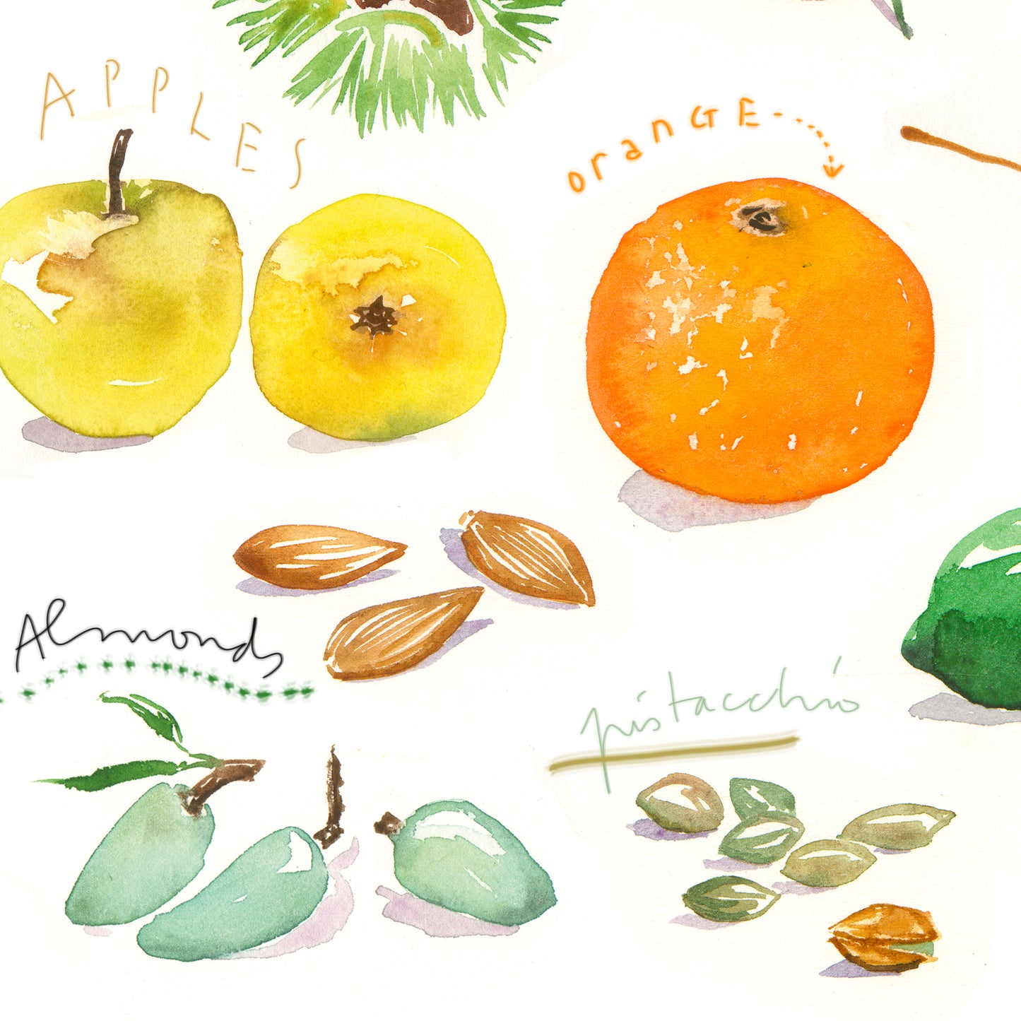 Winter fruits - In English