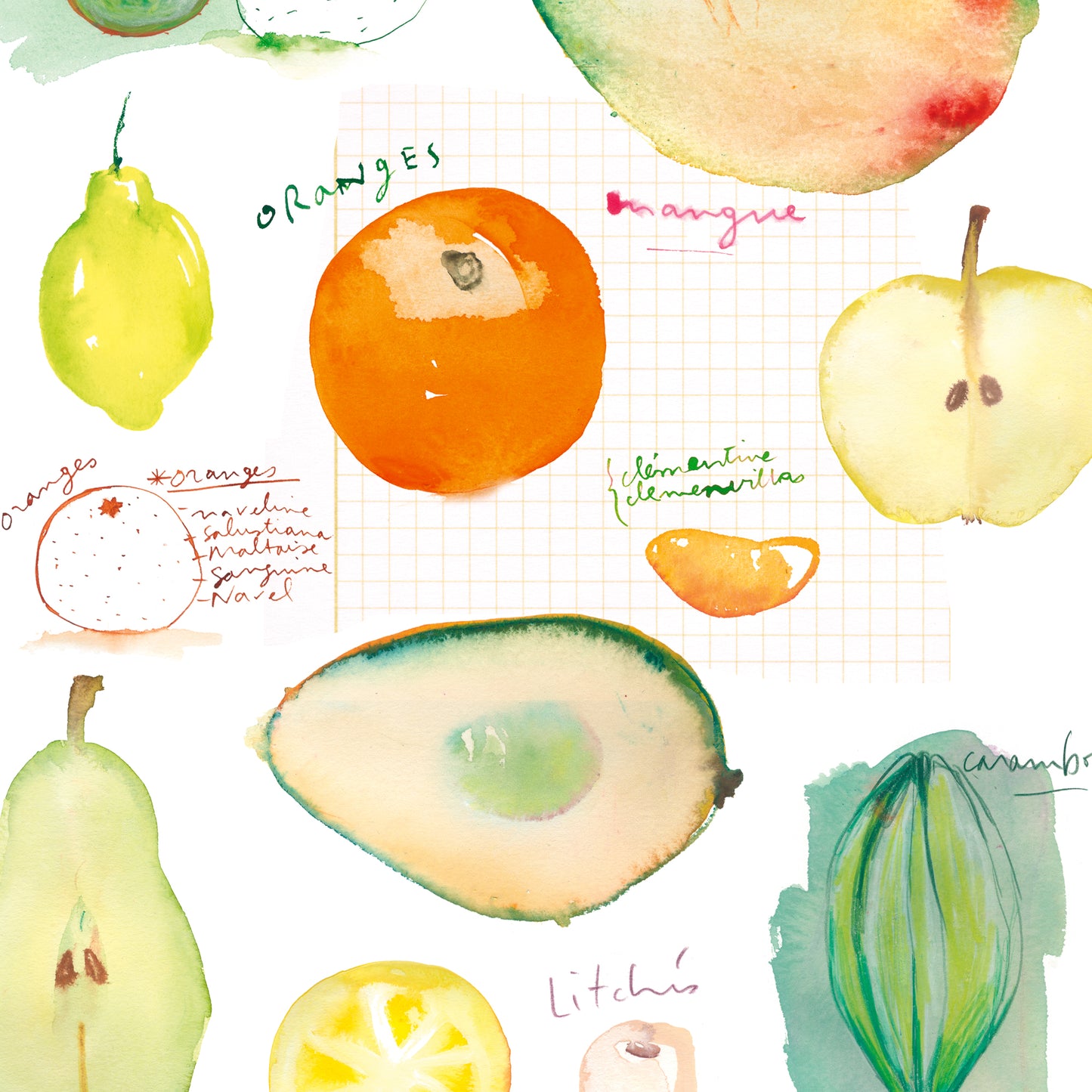 Seasonal fruit print set - In French
