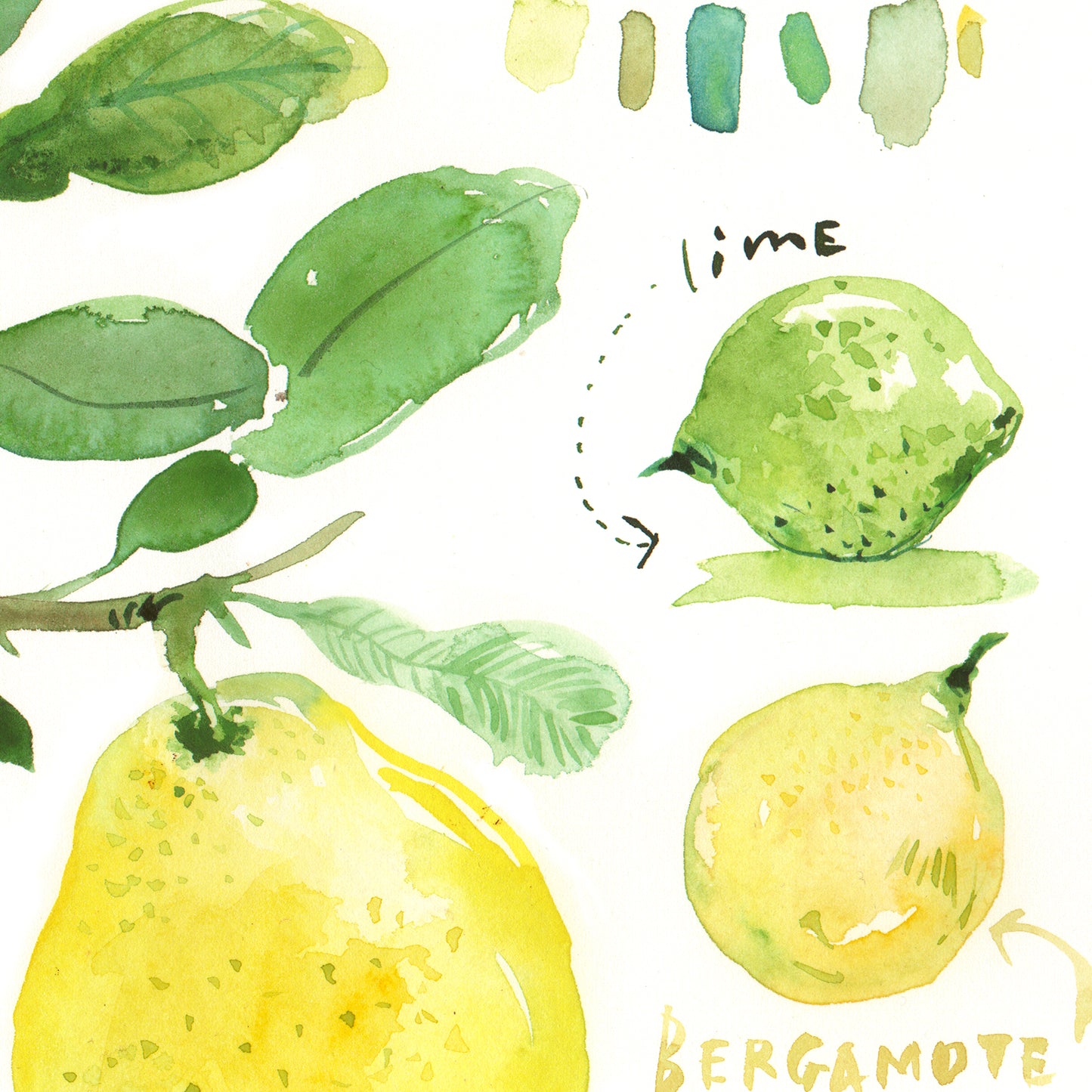 Horizontal Lemon tree poster