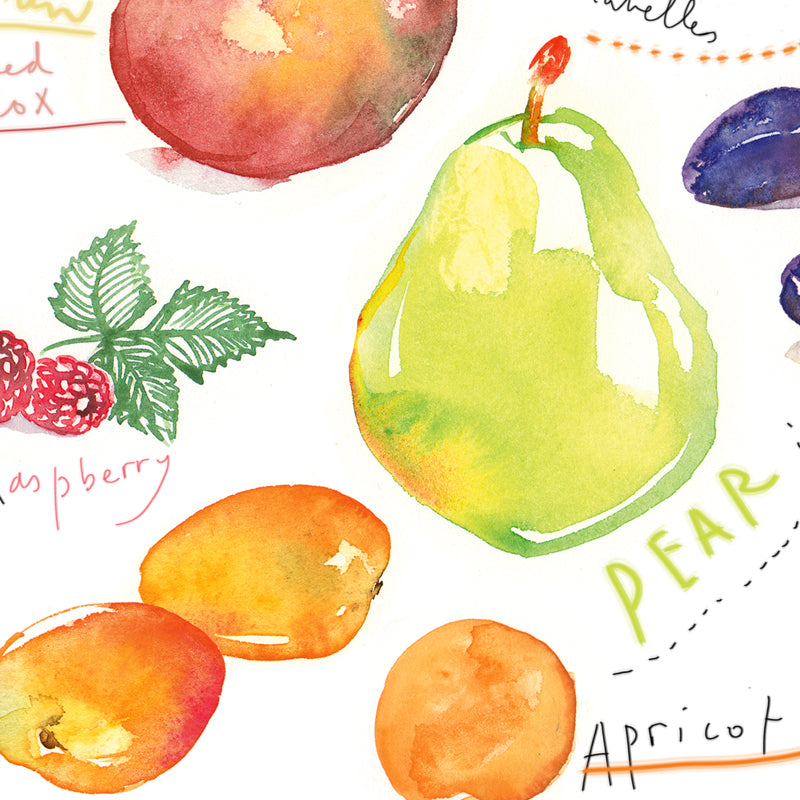 Summer fruits - In English