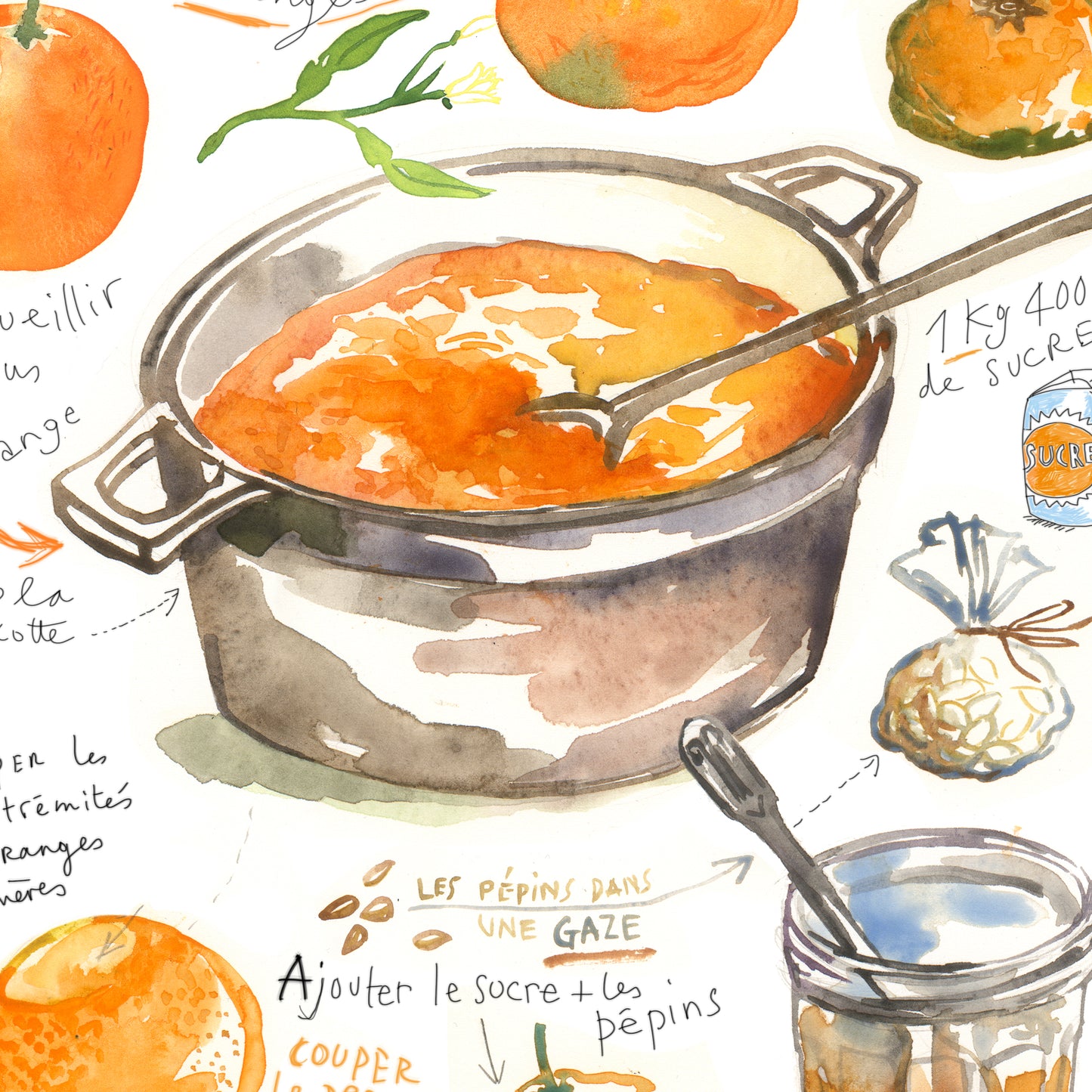 Orange Marmalade recipe